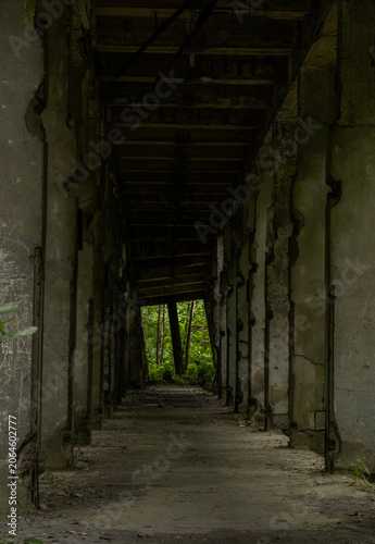 Dark Abandoned Concrete Corridor Leading to Lush Green Forest with Spooky Horror Atmosphere and a Post-apocalyptic Mood.. Ruins of the Hydrierwerke Pölitz, synthetic fuel factory in Police, Poland. 