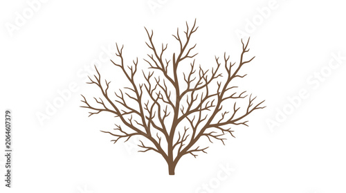 Obraz na plátně Detailed graphic of a leafless bare winter tree.