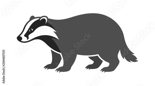 Fotografie European badger animal illustration on white background.