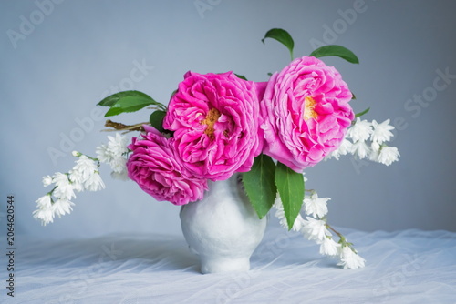 The splendor and vibrant colors of the pink roses