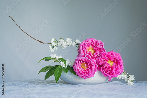 The splendor and vibrant colors of the pink roses