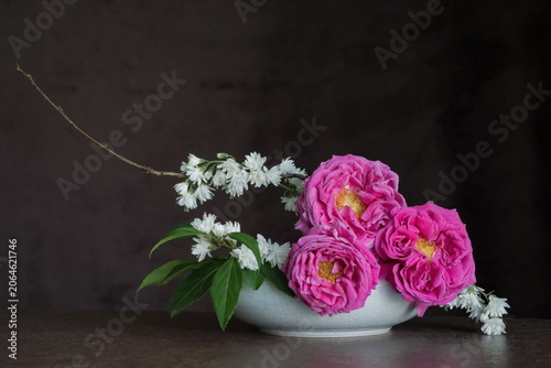 The splendor and vibrant colors of the pink roses