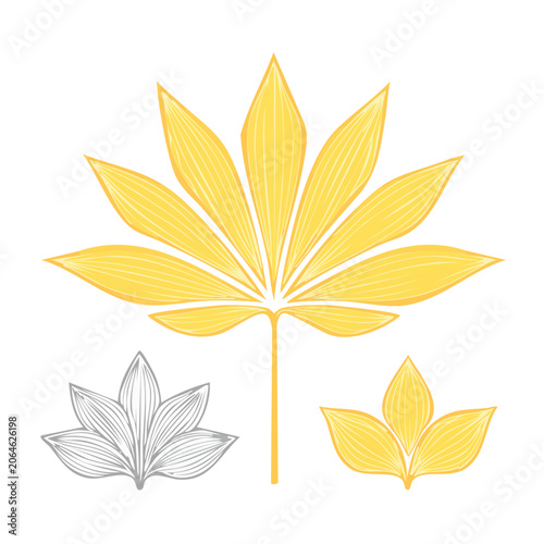 Yellow palm leaf illustration with variations