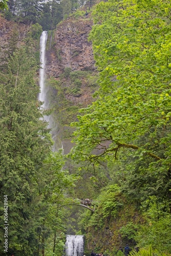 Tall Multnomah Falls Through Columbia Gorge Forest