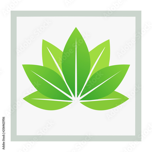 Green cannabis leaf icon on white background
