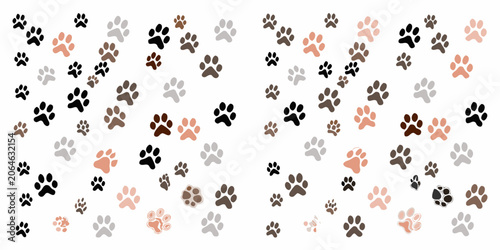 Photography Assortment Of Animal Paw Print Icons Vector Illustration On White Background