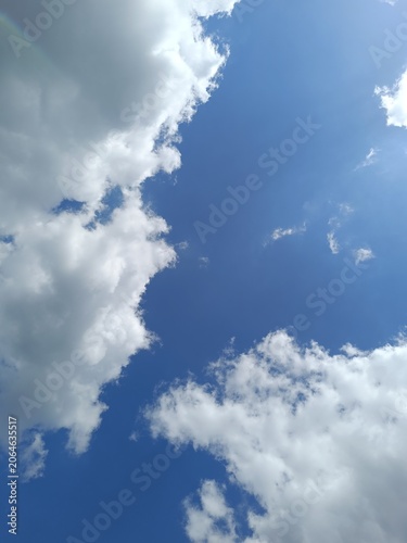 Clear blue sky framed by fluffy white clouds. Natural daylight illuminating cumulus clouds. Copy space for text