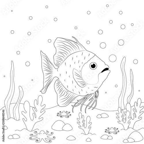 Cute fish coloring page for kids with underwater sea life elements, bubbles, coral reef and ocean plants. Black and white outline illustration for coloring book, educational activity worksheet, presch