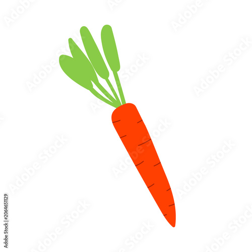 Carrot icon, cartoon, clipart, simple vector illustration, orange, hand drawn, isolated, white background