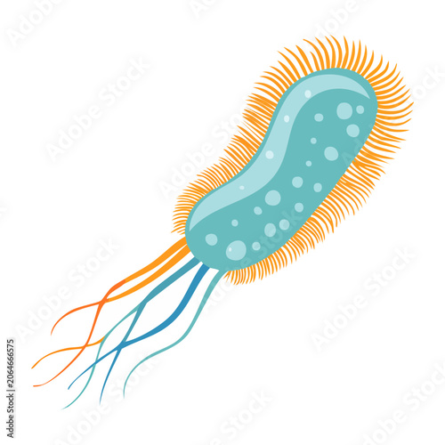 Colorful Bacterium Illustration on Transparent Background