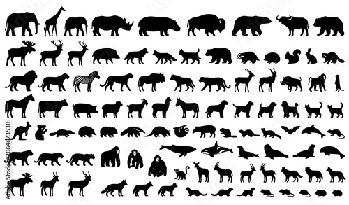 Photography Mammal Silhouette Vector Isolated Animal Collection