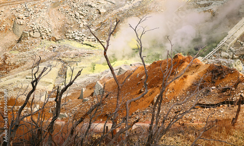 Owakudani: Sulphur vents, dead trees and hot springs in the  volcanic great boiling valley in Hakoni, Japan