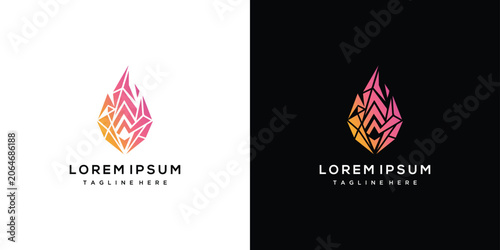Tableau sur toile Abstract Crystal Flame Logo Design with Gradient Colors on White and Black Backg