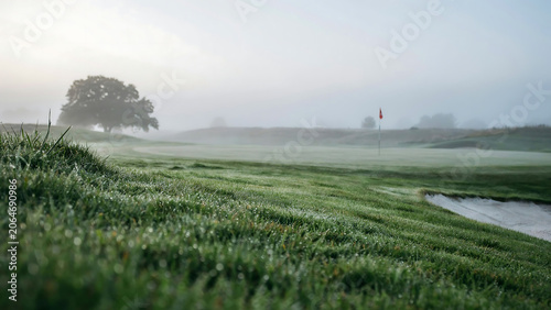 Serene Misty Morning on a Golf Course with Dew-Kissed Green Grass