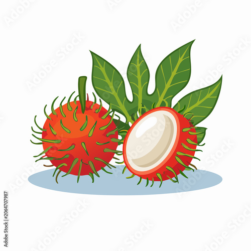 Illustration of Rambutan Fruit with Leaves