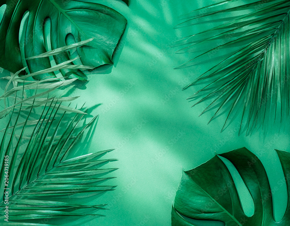 Fototapeta premium Tropical Green Palm Leaves Background with Copy Space