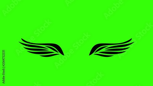 4K loop animation of two black wings flapping smoothly on a green background. Perfect for chroma key editing, fantasy themes, gothic visuals, motion graphics, video overlays, and visual effects.