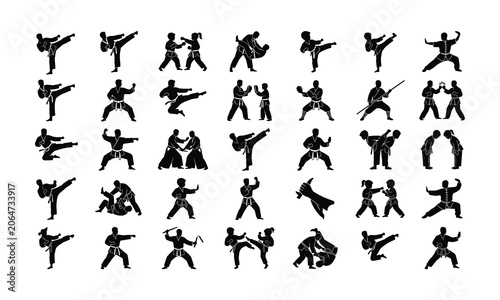Fotografie Martial arts vector silhouettes, karate poses set, taekwondo kicking icons, judo