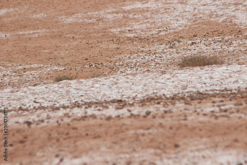 Foto White Salt Deposits on Desert Ground
