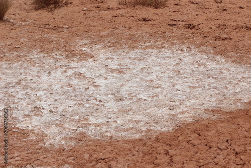 Obraz na plátne White Salt Deposits on Desert Ground