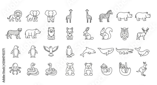 Photography Set of Linear Vector Illustrations Featuring Diverse Wild Animals and Sea Creatu