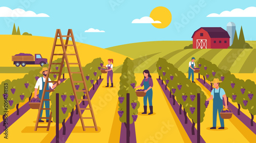 Vineyard workers harvesting grapes on sunny day.