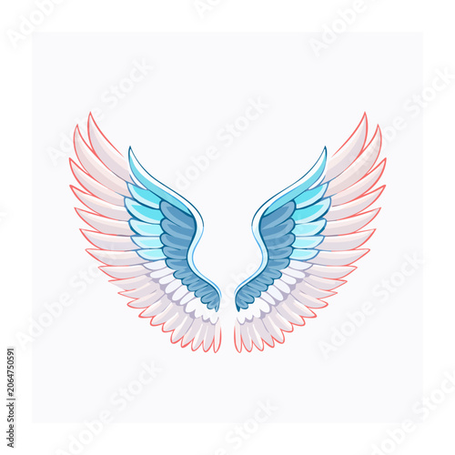 Symmetrical Angel Wings in Flat Design