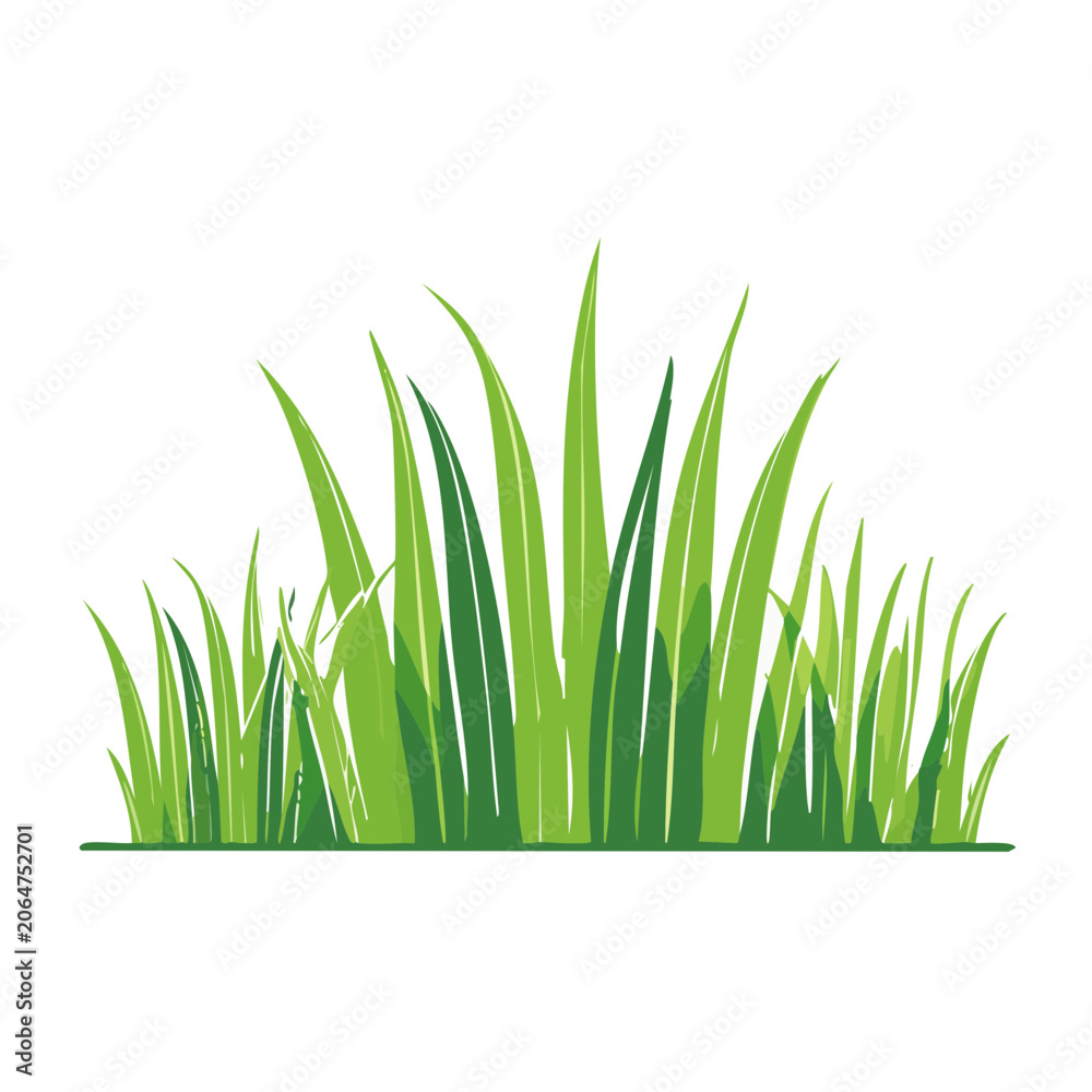 Fototapeta premium Flat design green grass illustration