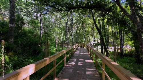 A smooth wooden boardwalk winds through a dense, sun-dappled forest in Portugal. Bright afternoon sunlight filters through the green canopy, casting intricate tree shadows along the walkway.
