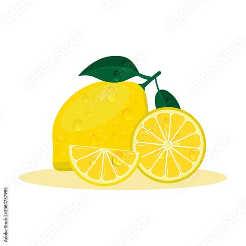 Fresh bright exotic whole and cut slice lemon fruit isolated on white background. Summer fruits for healthy lifestyle.