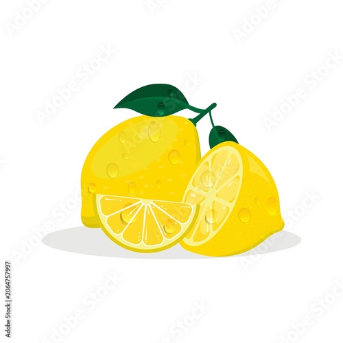 Fresh bright exotic whole and cut slice lemon fruit isolated on white background. Summer fruits for healthy lifestyle.