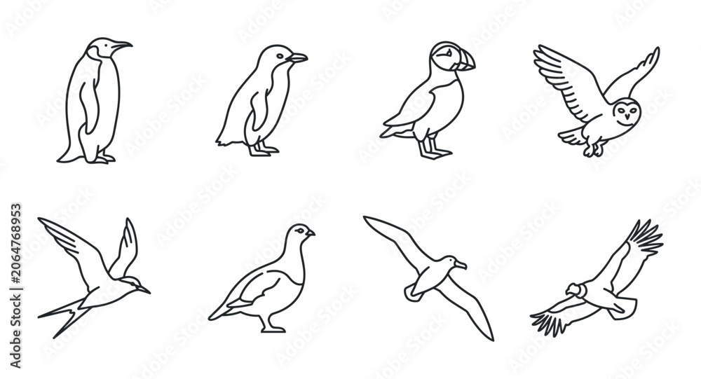 Fototapeta premium 8 Birds linear icon set penguin puffin owl swift partridge gull eagle, UI and web interface design