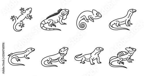 Schilderij op canvas 8 Reptile linear icon set lizard iguana chameleon, UI and web interface design