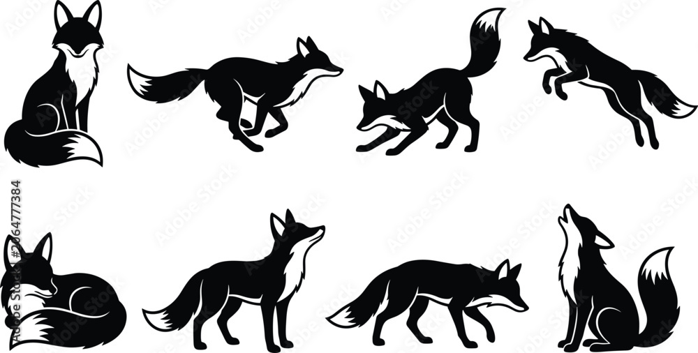 Fototapeta premium Set of black fox silhouettes in various poses isolated on a white background, wild animal showing running, sitting, jumping, and howling foxes