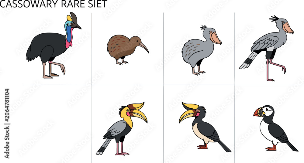 Obraz premium Rare bird illustration set featuring cassowary kiwi shoebill hornbill and puffin in flat cartoon style for wildlife design use