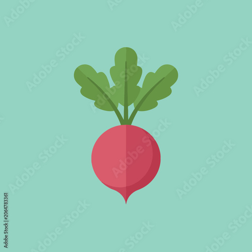 A simple flat vector illustration of a fresh red radish vegetable