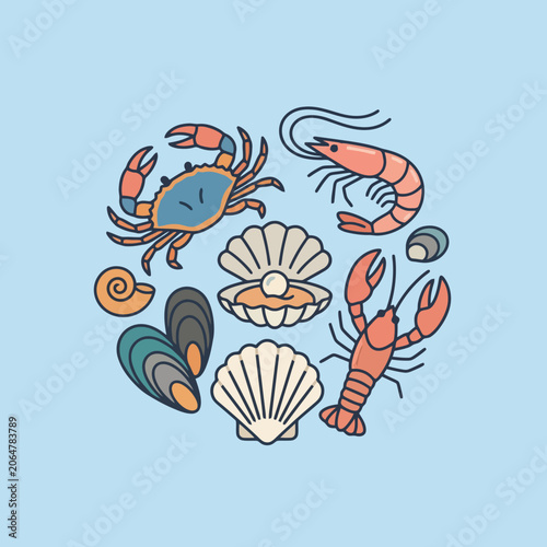 Photography A collection of various marine animals arranged in a circle