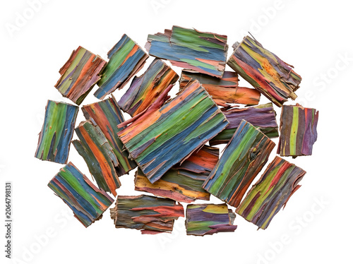 Rainbow eucalyptus bark pieces displaying vibrant multicolored layers with natural textured pattern, isolated on transparent background