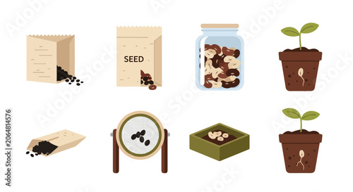 Various stages of plant growth from seeds to seedlings in pots, illustrating germination and cultivation.
