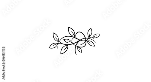 Simple line drawing of leafy vine.