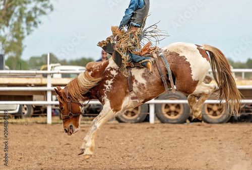 Konstfotografi Cowboy On Bucking Bronco At Rodeo