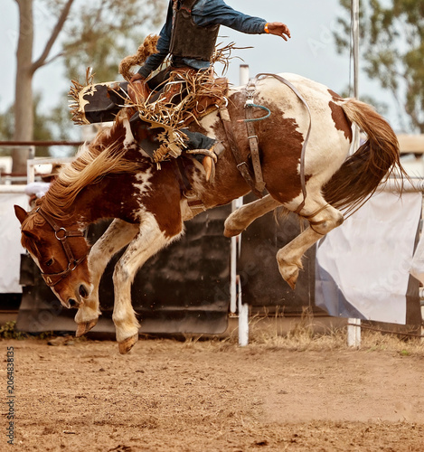 Foto Saddle Bronc Riding At An australian Country Rodeo