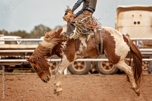 Saddle Bronc Riding At An australian Country Rodeo