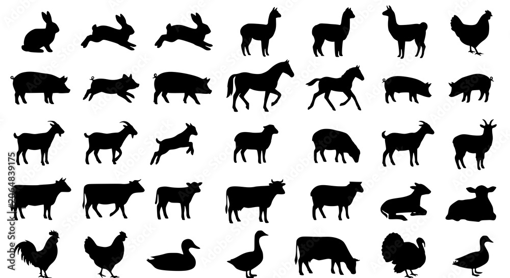 Obraz premium Farm Animal Silhouettes Vector Set with Cows Horses Chickens Ducks Goats and Pigs