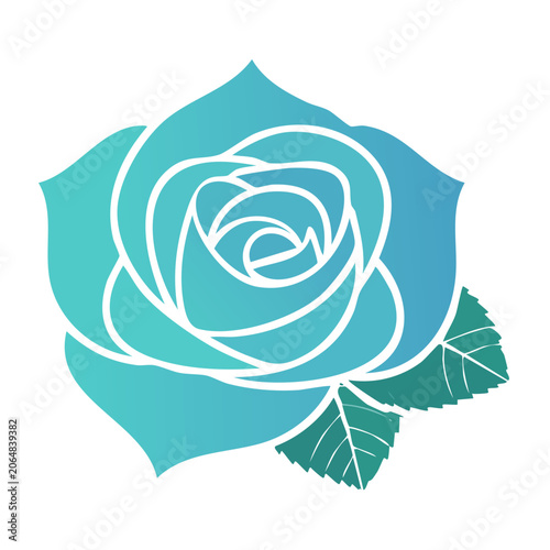 Blue rose illustration with leaves on transparent background