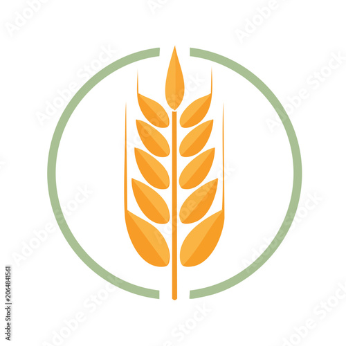 Flat design wheat icon with green circle
