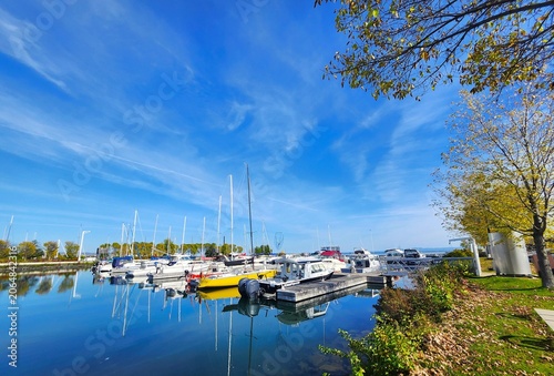 boats in the harbor