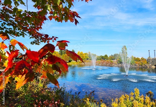 autumn in the park
