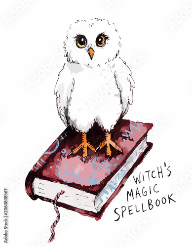 Helloween Owl standing on witch's magic spellbook with decorative design  