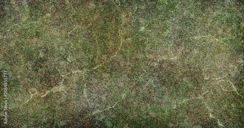 Quadro su tela Elegant green granite slab with seamless marble vein texture